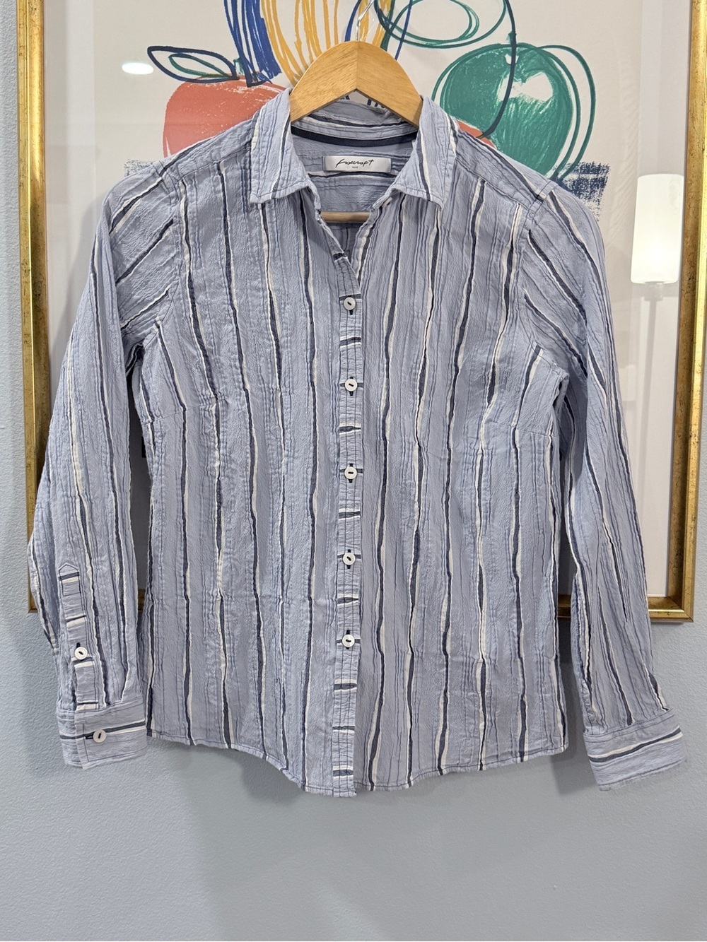Foxcroft Stretchy Pleats Button-Up Shirt Size 10
